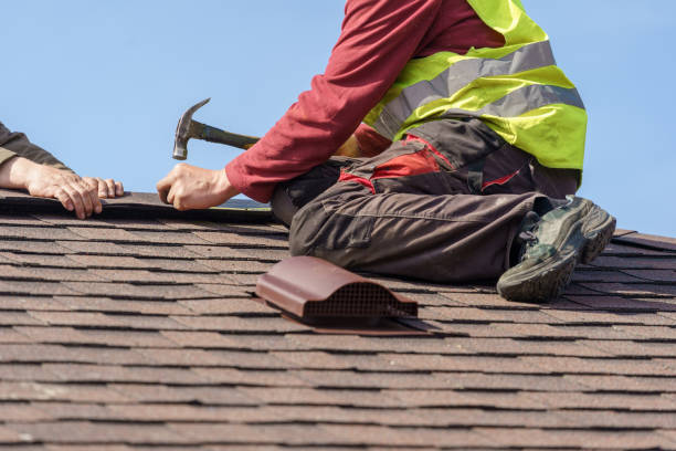Best Gutter Installation and Roofing  in Jenison, MI