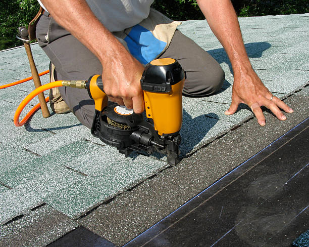 Best Roof Waterproofing Services  in Jenison, MI