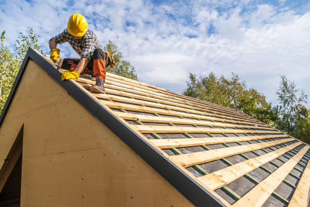 Best New Roof Installation  in Jenison, MI