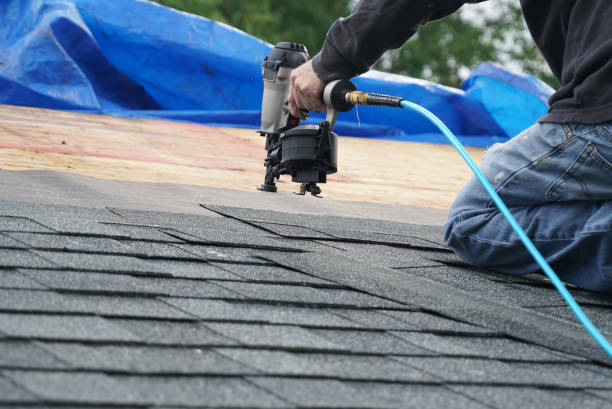 Best Flat Roof Repair Services  in Jenison, MI
