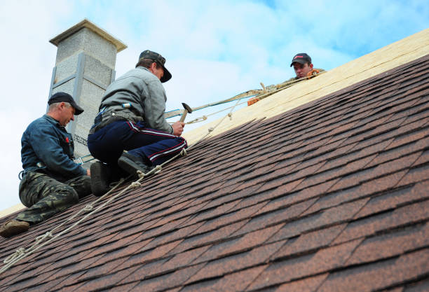 Best Residential Roofing Contractor  in Jenison, MI